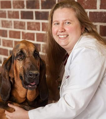 Dr. Nichole, Memphis Veterinarian