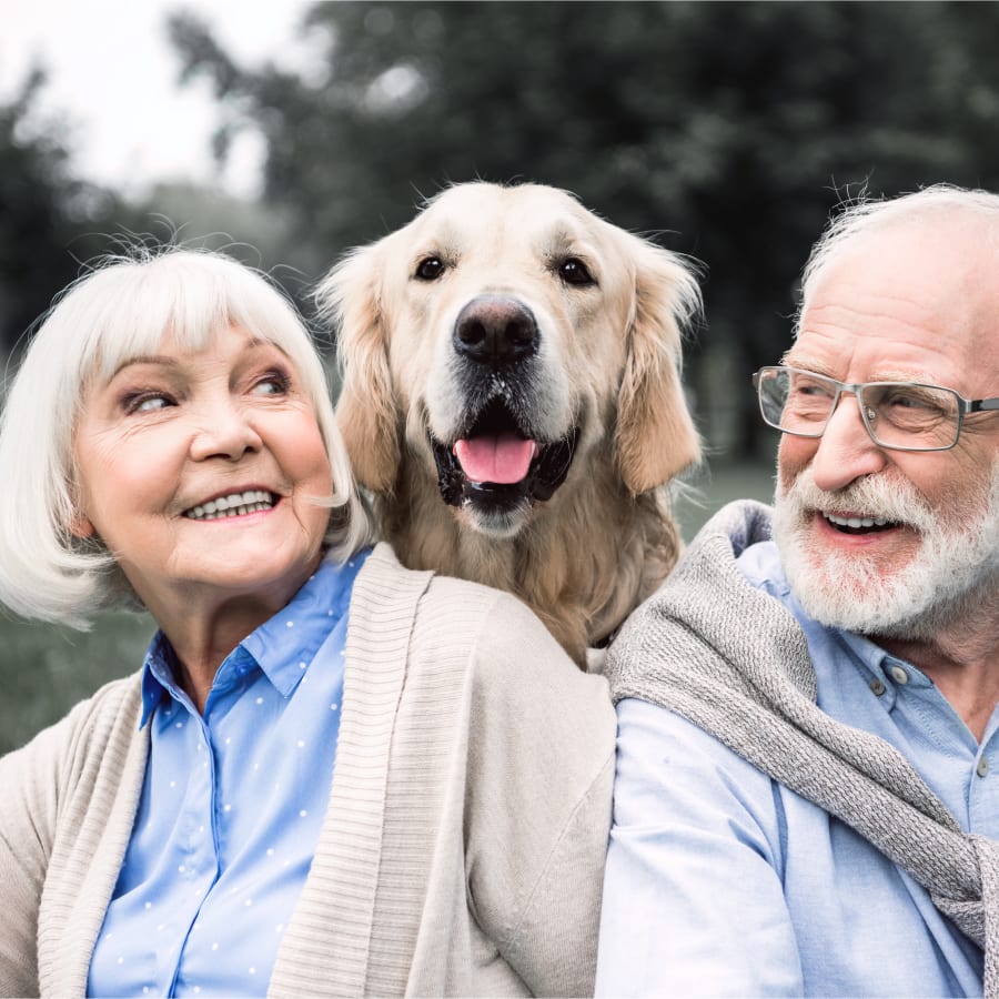 Geriatric Care for Pets, Memphis